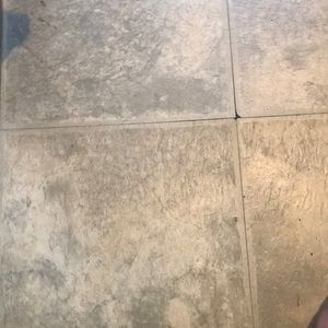 Meet your Posher, Payton